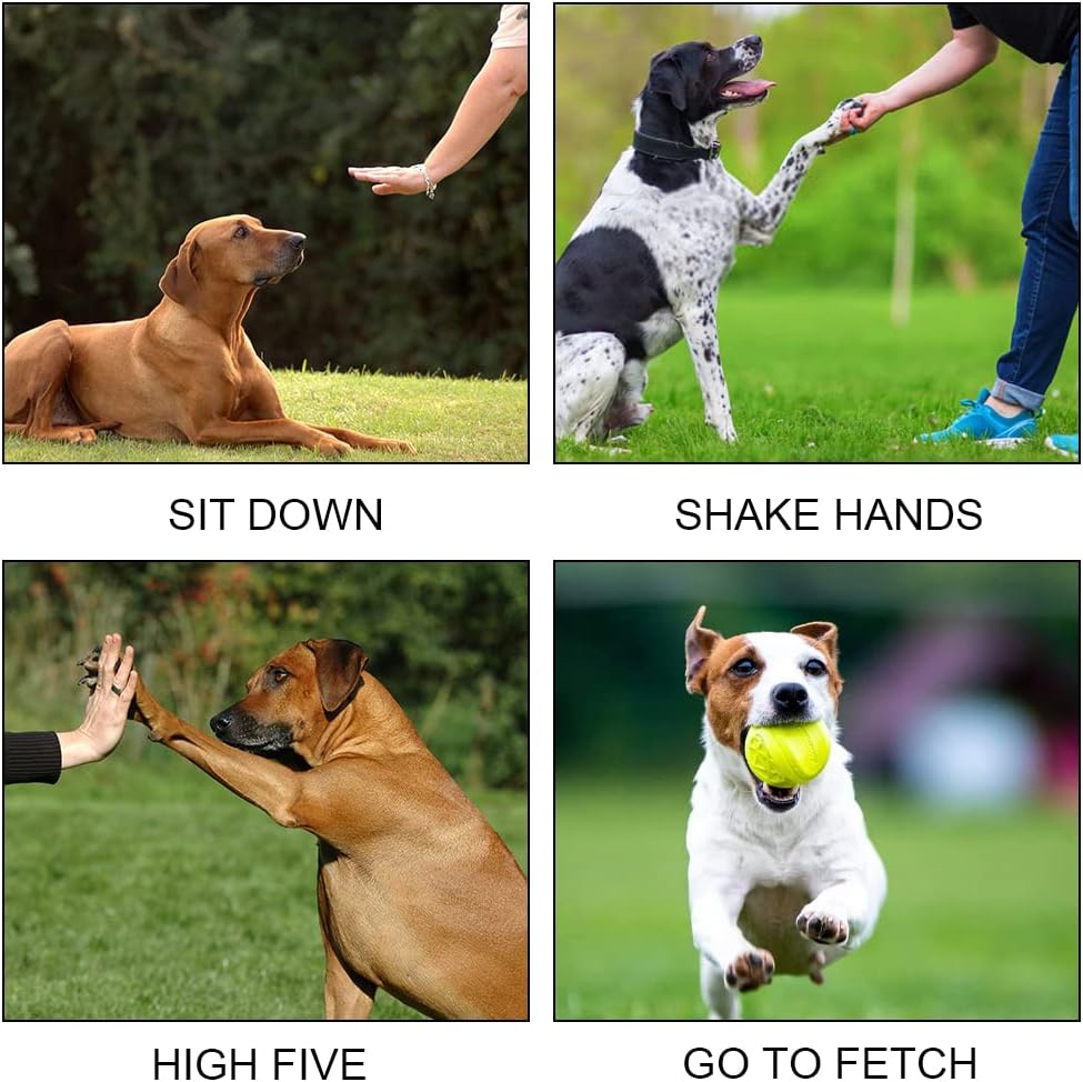 Fischietto ultrasuoni per Cani da Caccia richiamo, l'addestramento e l'educazione dei Cani. con Altezza Regolabile del Tono