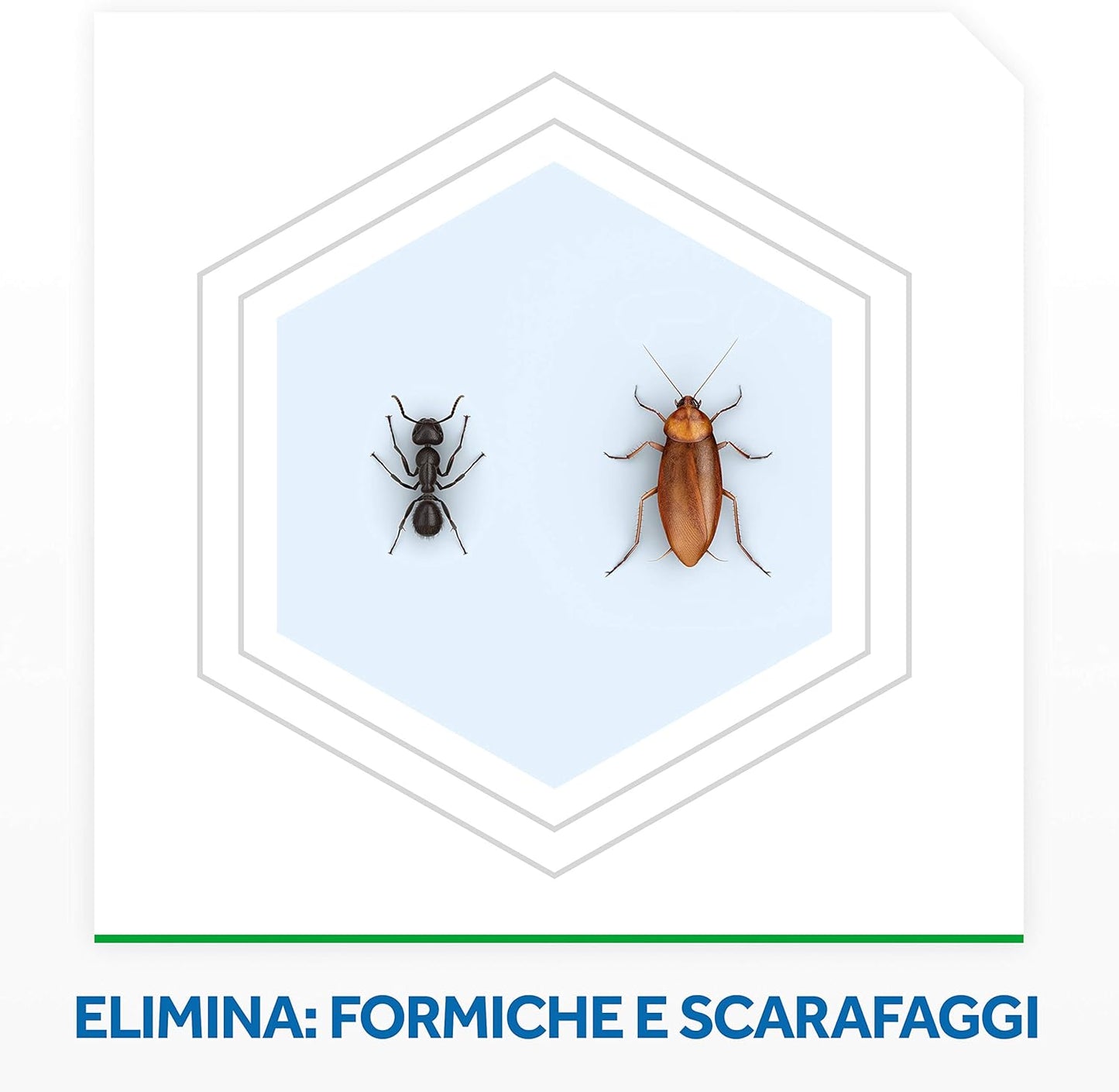 Baygon Polvere contro Scarafaggi e Formiche - 250 g