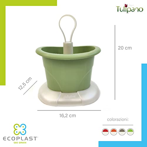 Scolaposate Ecoplast Rosso - Organizza la tua cucina con stile!