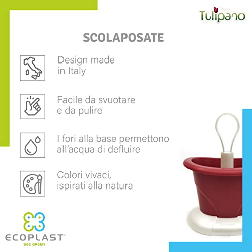 Scolaposate Ecoplast Rosso - Organizza la tua cucina con stile!