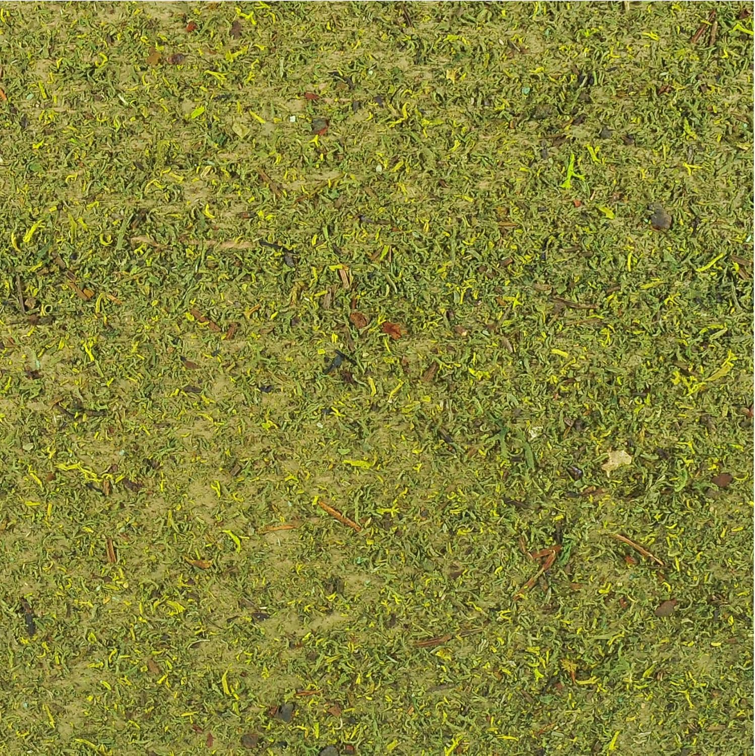 33787329