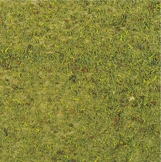 33787329